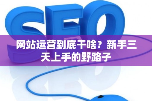 网站运营到底干啥？新手三天上手的野路子