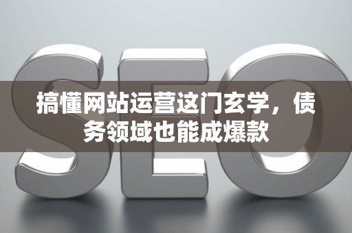 搞懂网站运营这门玄学，债务领域也能成爆款