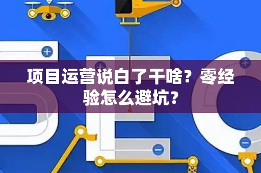 项目运营说白了干啥?零经验怎么避坑? 项目运营说白了干啥?零经验怎么避坑?
